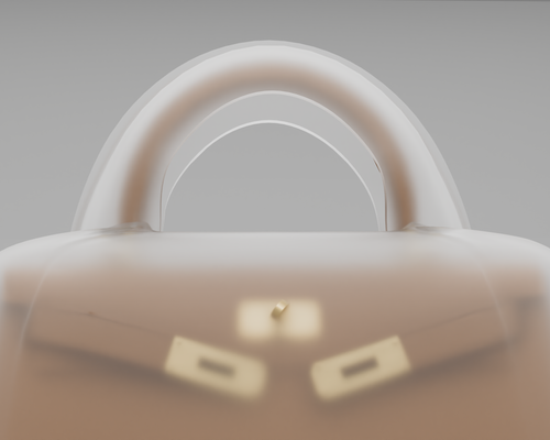 Raincoat for Hermès Birkin & Kelly