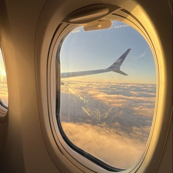 Flights and train journeys